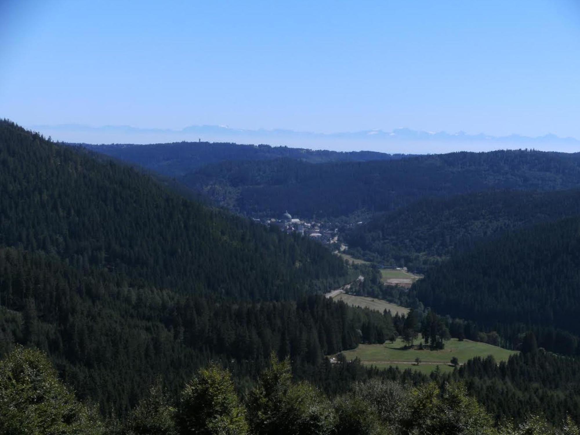 Haus Aretz Lejlighed Feldberg  Eksteriør billede